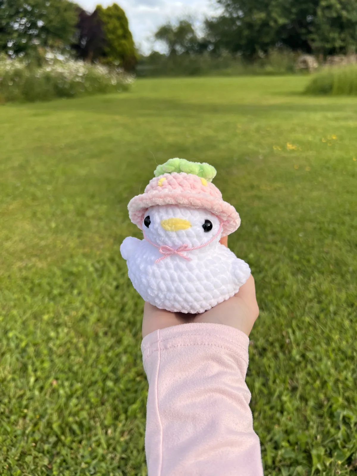 Chonky Duck