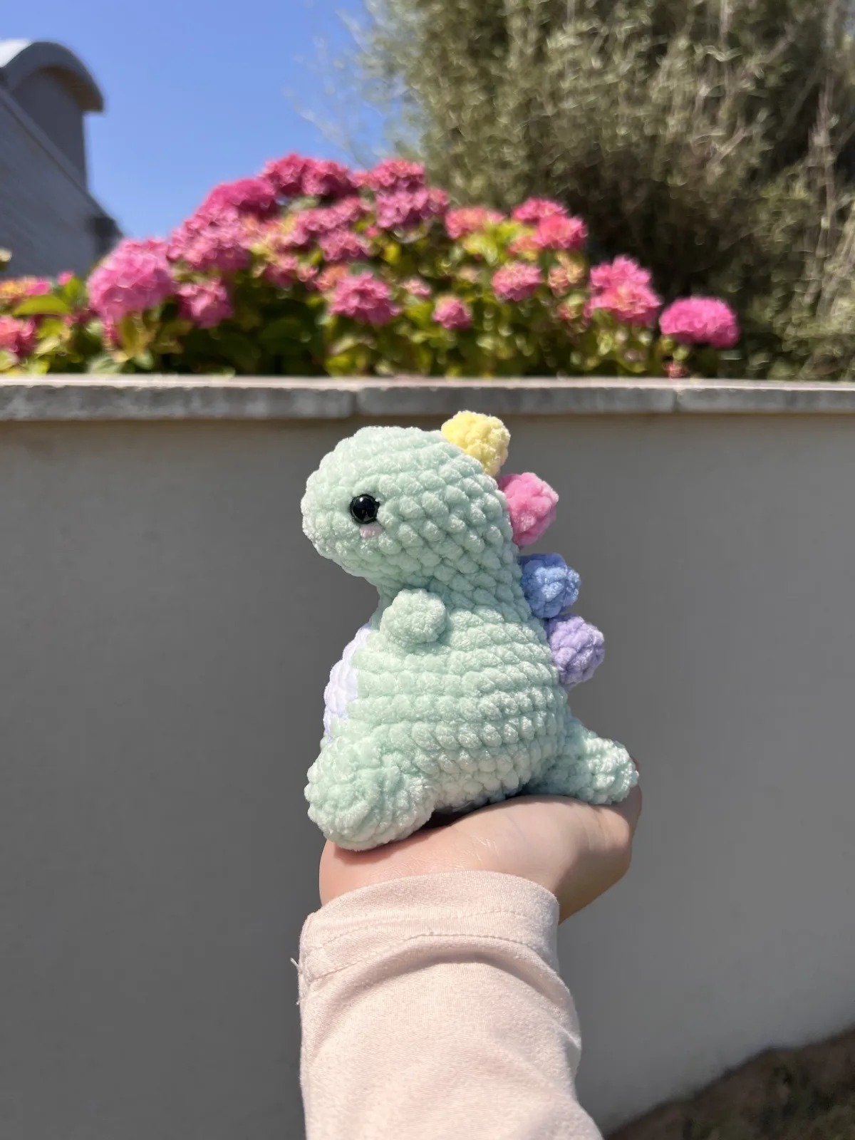 Baby Dinosaur — Rainbow